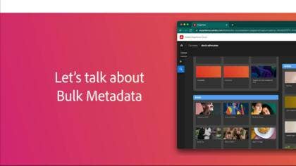 Bulk Metadata