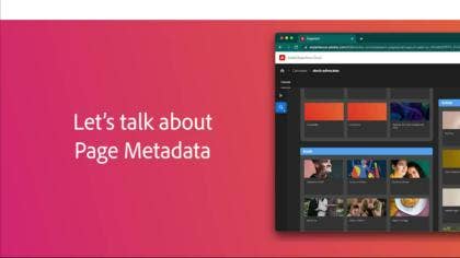Page Metadata