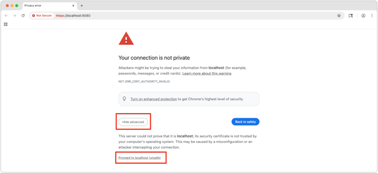 Accept the self-signed certificate