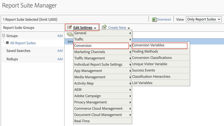 Analytics Conversion Variables