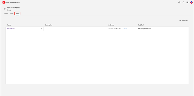 A user group's Roles workspace.