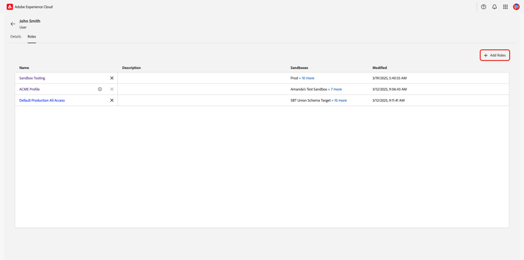 The user's Role's workspace with the Add Roles option highlighted.