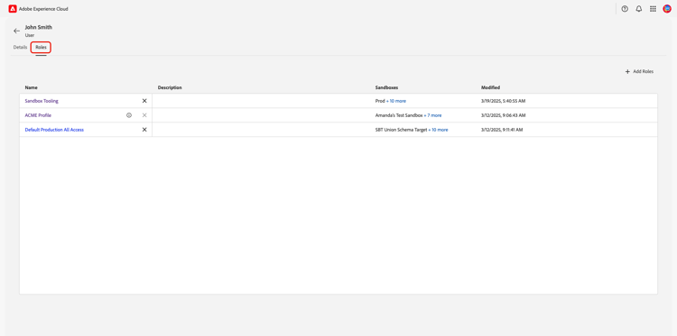 A user's Roles workspace.