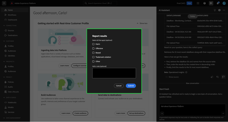 The report results window.