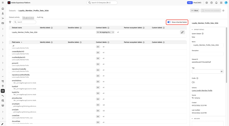 The Data Governance tab of the Datasets workspace with the Show inherited labels toggle highlighted.
