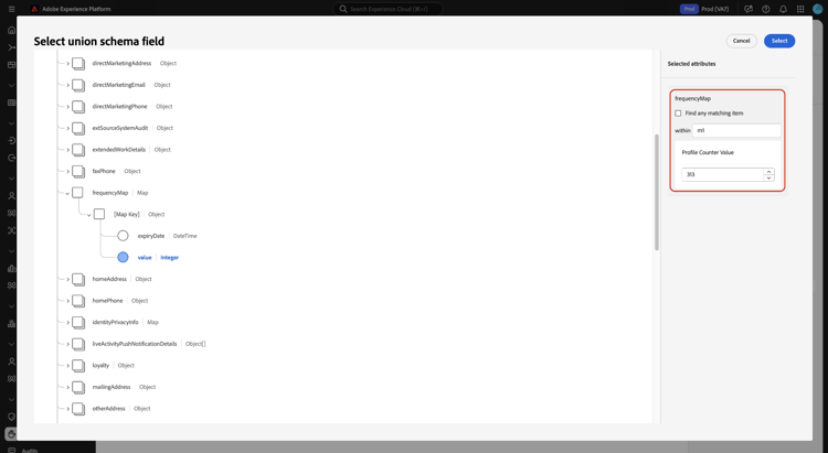 Updated attribute options for a primitive field contained in a Map data type.