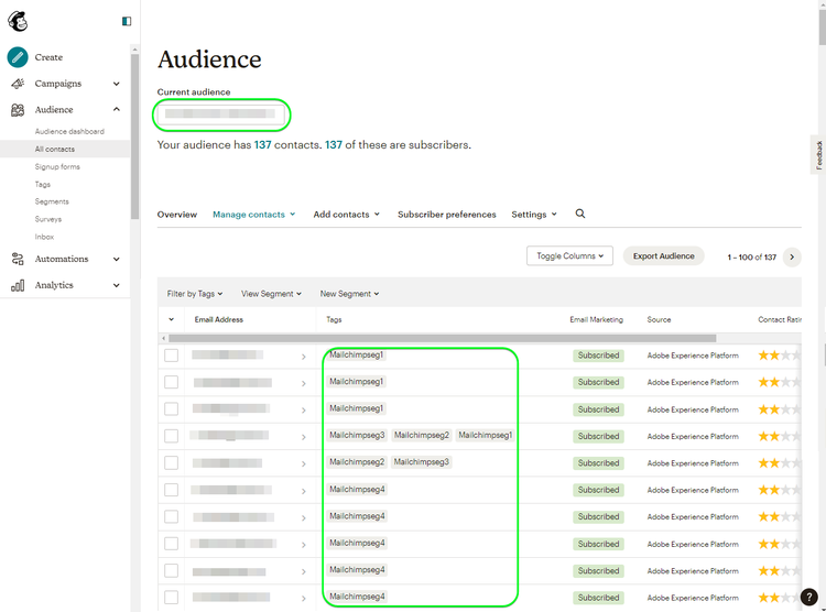 Mailchimp UI screenshot showing the Audience page.