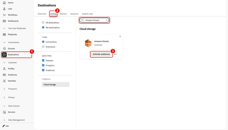 Destination Catalog tab with the Activate audiences control highlighted on a destination card.