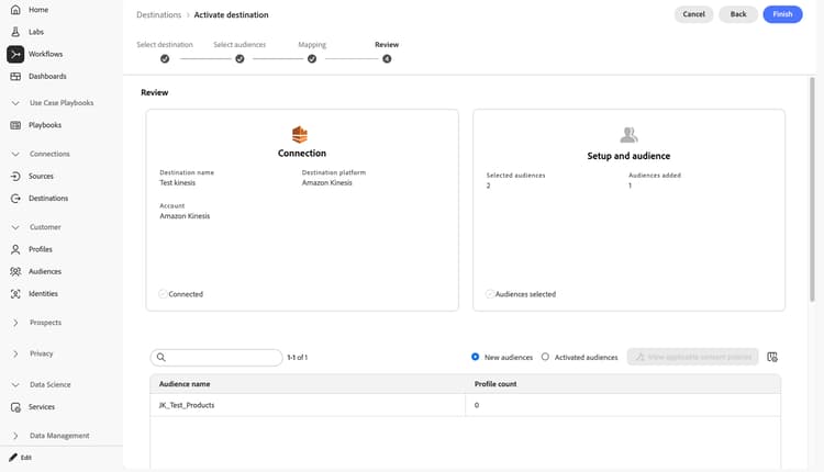 Connection and Setup and audience summary cards in the review step.