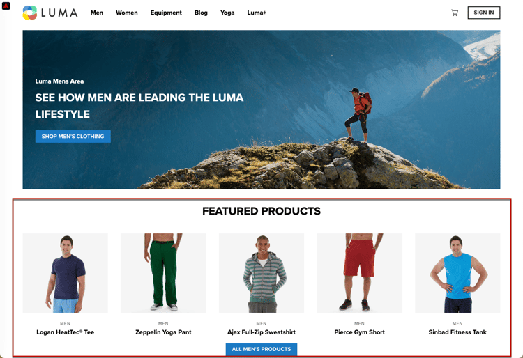 Sample website image showing a specific view.