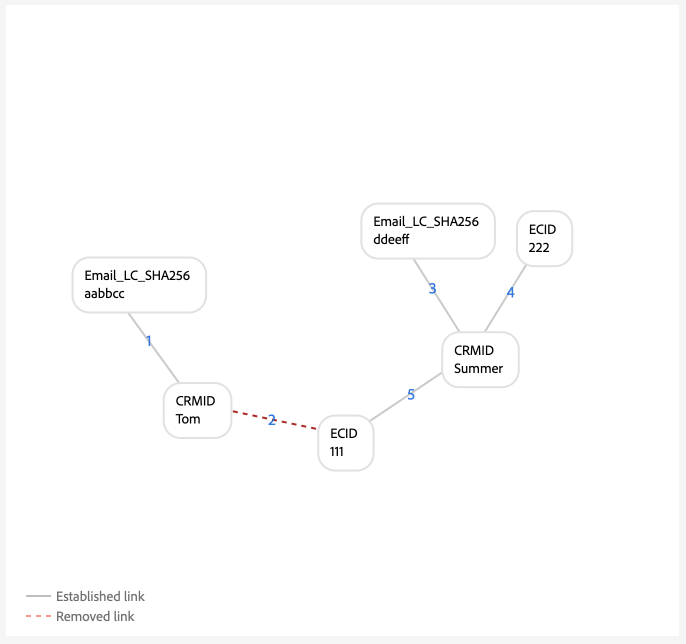 In this example, the simulated graph displays a "shared device" scenario because both Tom and Summer are associated with the same ECID.