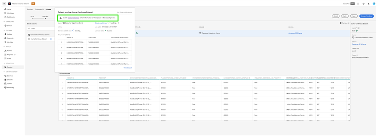 The Customer AI workspace with the restricted fields of the preview datasets with restricted schema results highlighted.