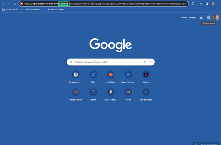 A Google browser page with the 'common' section of the Application authentication url highlighted.