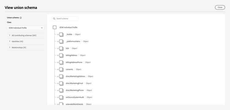 The View union schema dialog.