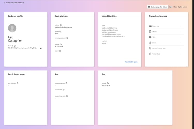 The customizable widgets section is displayed.
