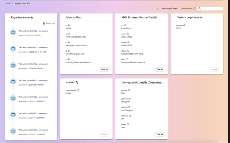 The auto-classified widgets section is displayed.