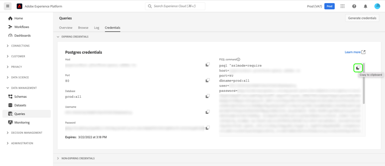 The Queries dashboard Credentials tab with the copy icon highlighted.