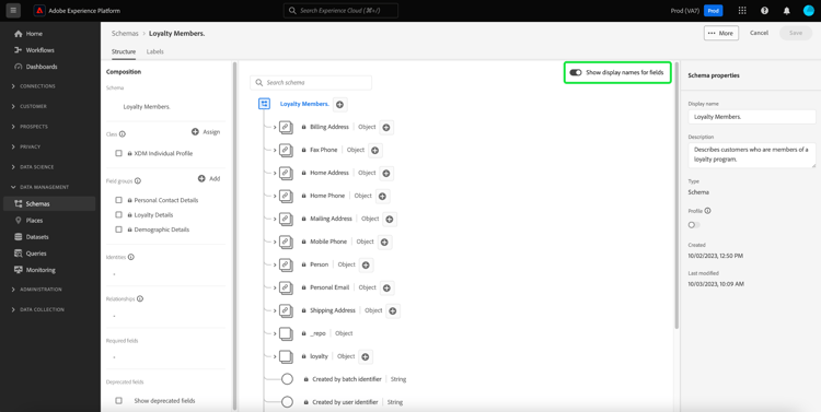 The Schema Editor with the display name toggle highlighted.