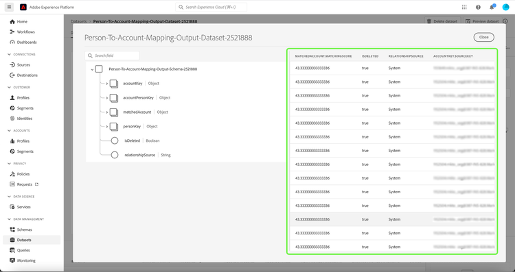 Preview dataset confidence scores and output