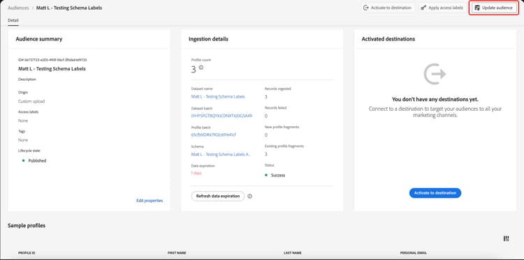 The audience details page is shown, with the Update audience button highlighted.