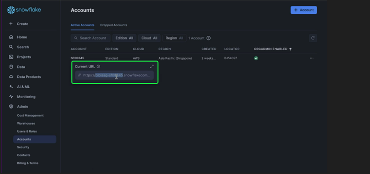 The Snowflake UI dashboard with the domain name selected.