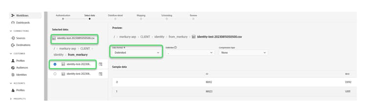 The data selected for ingestion and the file preview interface.