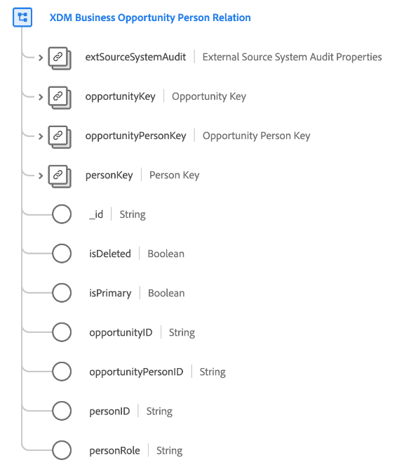 The structure of the XDM Business Opportunity Person class as it appears in the UI