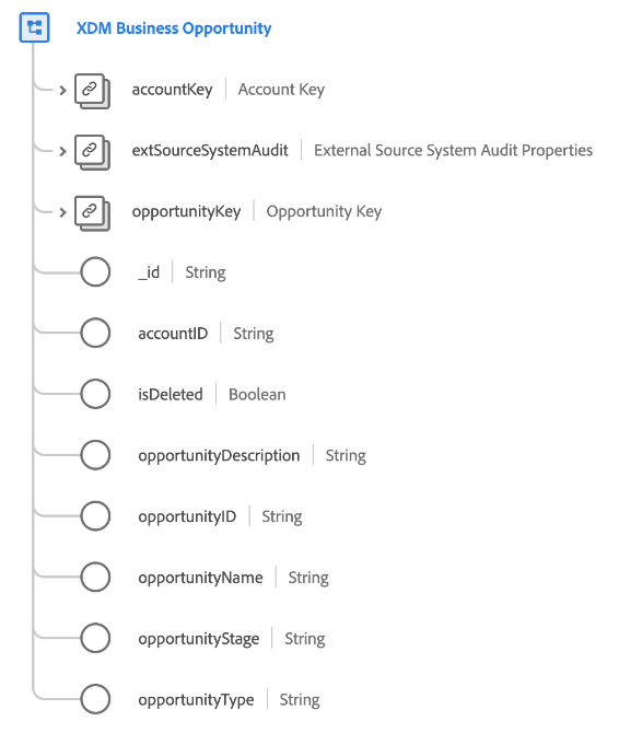 The structure of the XDM Business Opportunity class as it appears in the UI