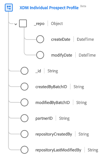 The schema diagram of the XDM Prospect class.