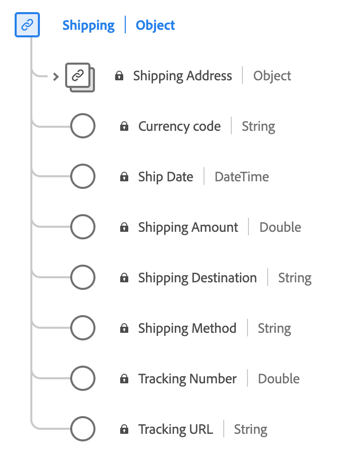 A diagram of the Shipping data type.