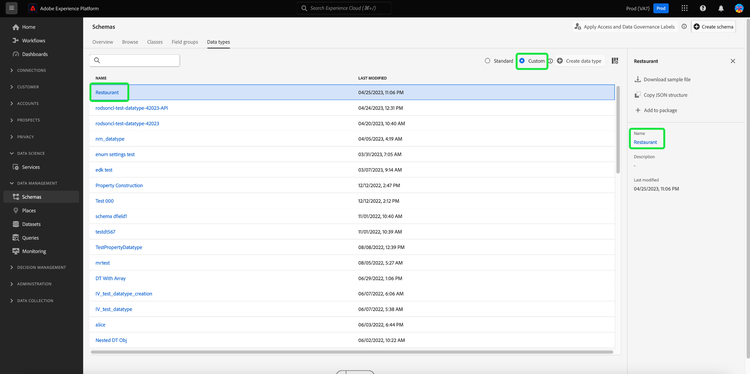 The Data types tab of the Schemas workspace, with a data type, Custom and the data type Name highlighted.