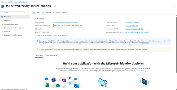 The Application (Client) ID within the overview page is highlighted.