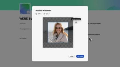 Inputting Brand, Product, and Persona