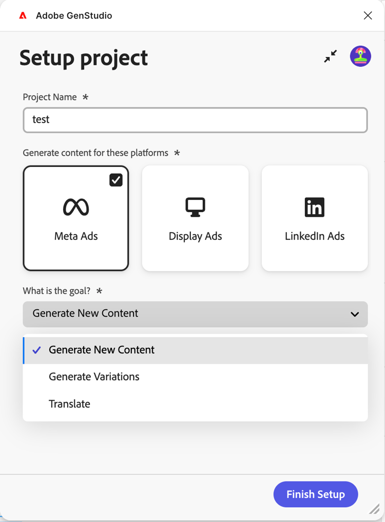 Setup project window