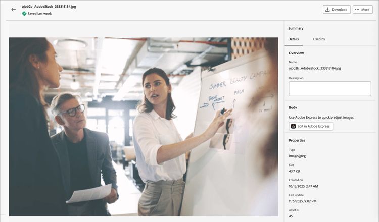 Access asset details