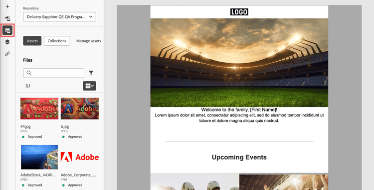 Click the Assets selector icon to access the image assets
