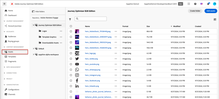 Browse Marketo Engage assets