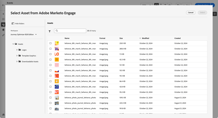 Use the filters and search field to find the asset that you need