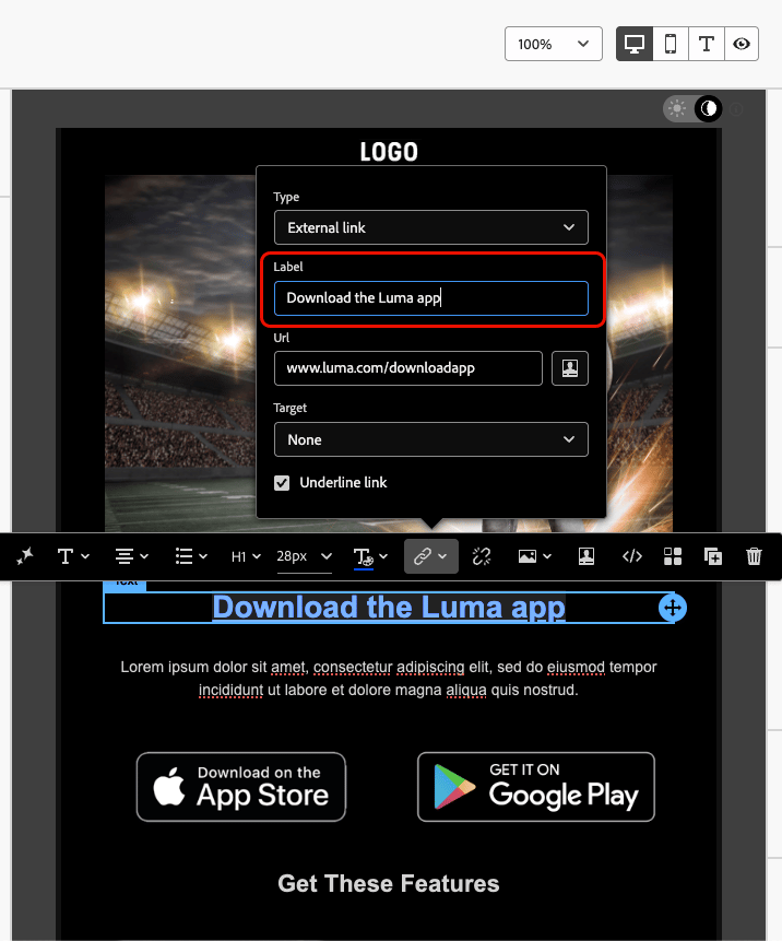 Link settings panel showing URL field and descriptive label options