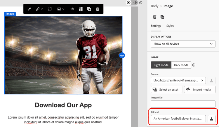 Image component settings panel with Alternative text field highlighted