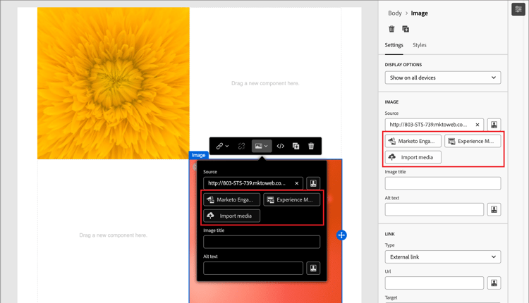 Select an asset from the source library