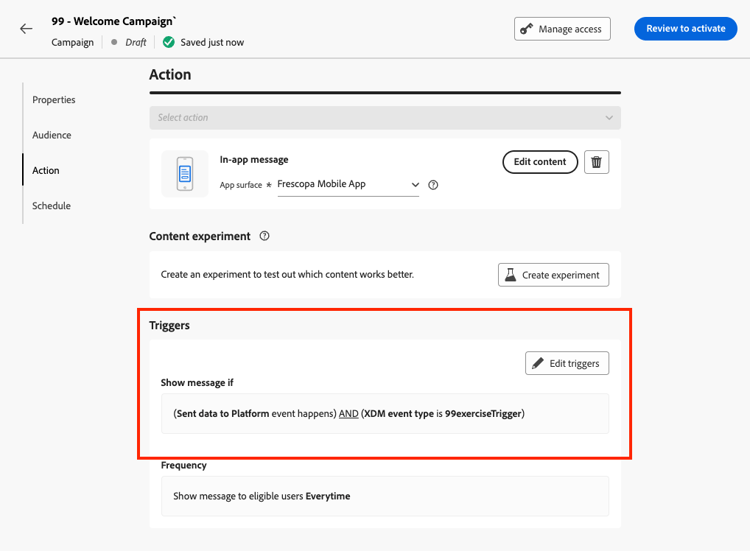 Campaign with custom trigger defined
