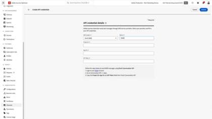 Configure MMS API credentials and channel surfaces