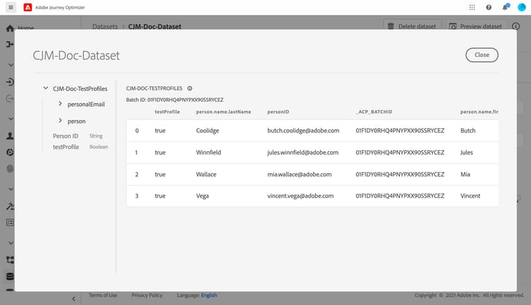 Dataset preview showing imported test profiles