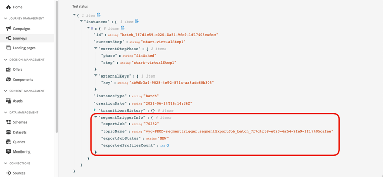 Test logs showing audience execution results and profile flow