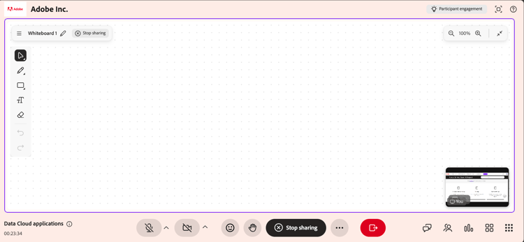 Screen Share Secondary View