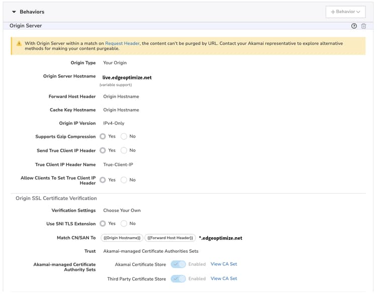 Set Origin and SSL behavior