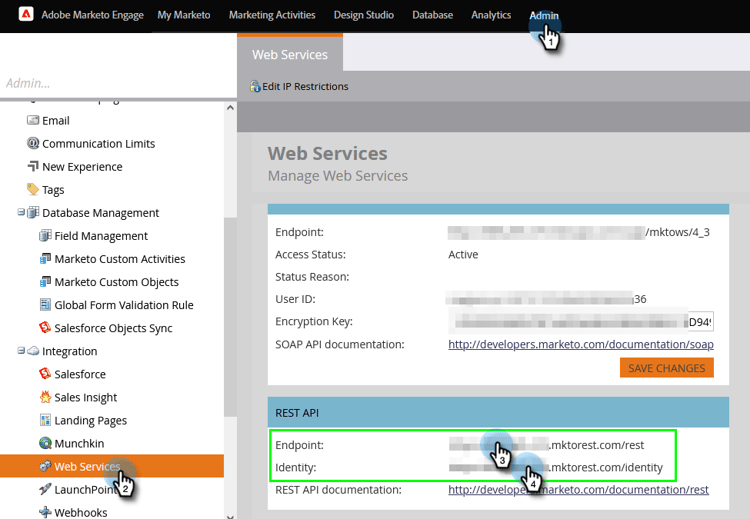 1. In a new tab, log in to your Marketo Engage account.