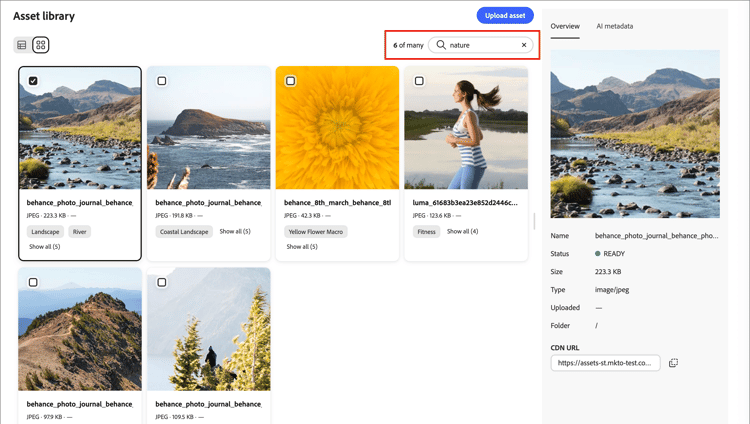 Selected image from search results in Assets library