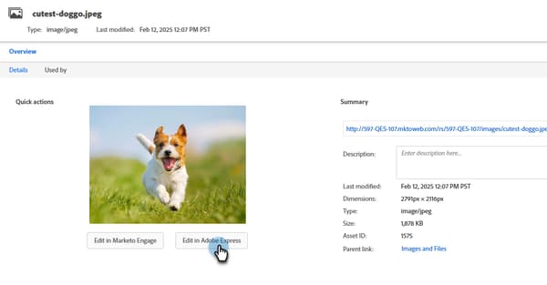 Clicking the Edit in Adobe Express button